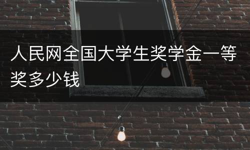 人民网全国大学生奖学金一等奖多少钱