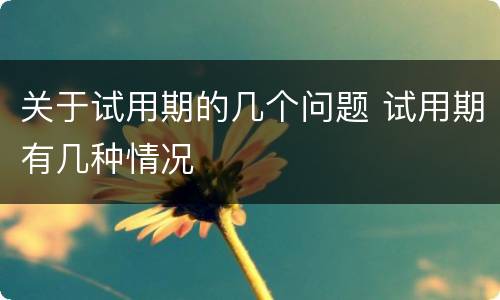 关于试用期的几个问题 试用期有几种情况