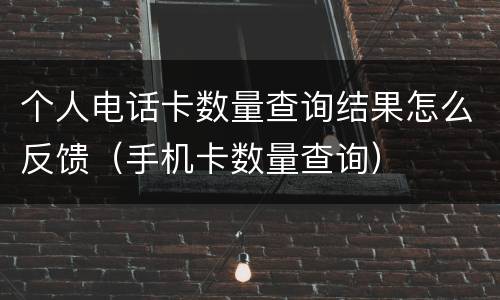 个人电话卡数量查询结果怎么反馈（手机卡数量查询）
