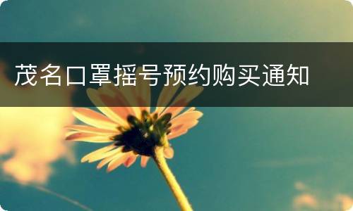 茂名口罩摇号预约购买通知