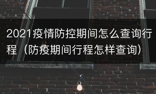 2021疫情防控期间怎么查询行程（防疫期间行程怎样查询）