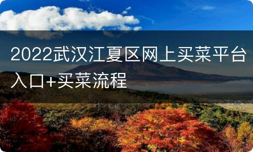 2022武汉江夏区网上买菜平台入口+买菜流程