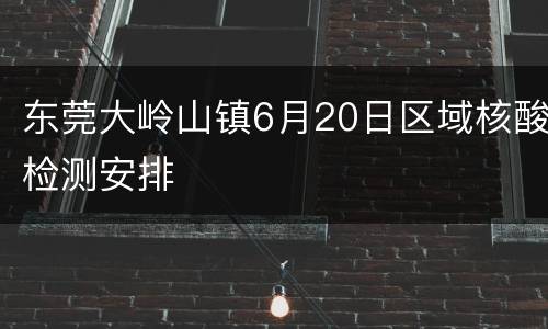东莞大岭山镇6月20日区域核酸检测安排