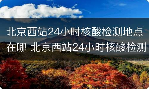北京西站24小时核酸检测地点在哪 北京西站24小时核酸检测地点在哪查