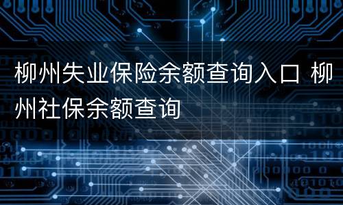 柳州失业保险余额查询入口 柳州社保余额查询