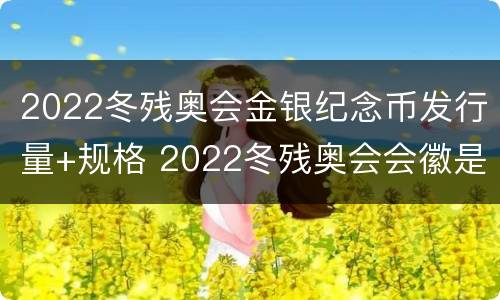 2022冬残奥会金银纪念币发行量+规格 2022冬残奥会会徽是什么名字