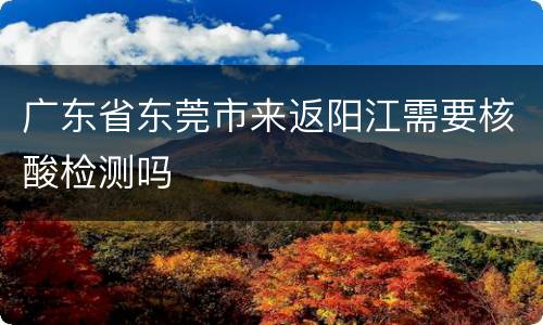 广东省东莞市来返阳江需要核酸检测吗
