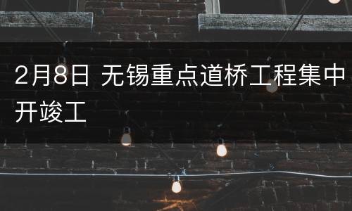2月8日 无锡重点道桥工程集中开竣工