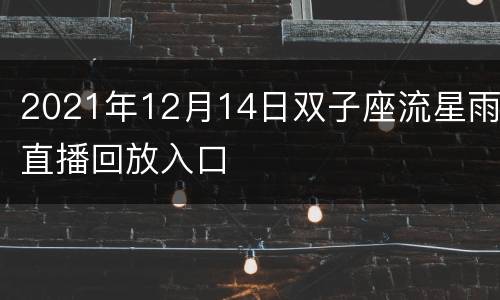 2021年12月14日双子座流星雨直播回放入口
