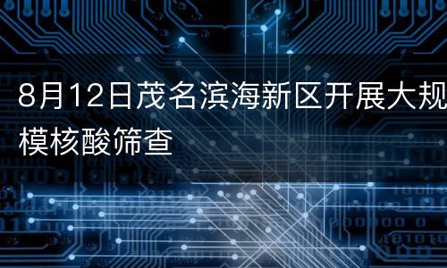 8月12日茂名滨海新区开展大规模核酸筛查