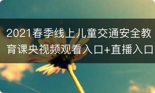 2021春季线上儿童交通安全教育课央视频观看入口+直播入口