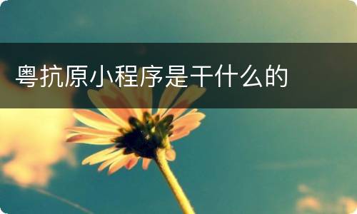 粤抗原小程序是干什么的