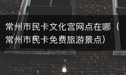 常州市民卡文化宫网点在哪（常州市民卡免费旅游景点）