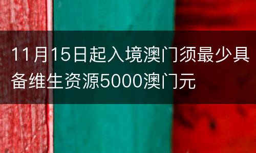 11月15日起入境澳门须最少具备维生资源5000澳门元
