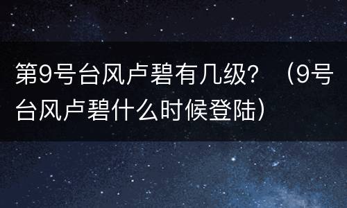 第9号台风卢碧有几级？（9号台风卢碧什么时候登陆）