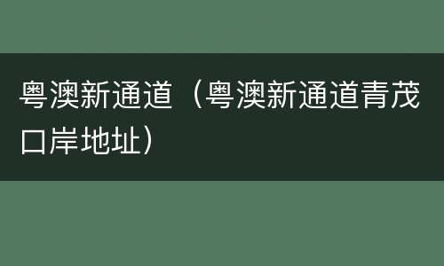 粤澳新通道（粤澳新通道青茂口岸地址）