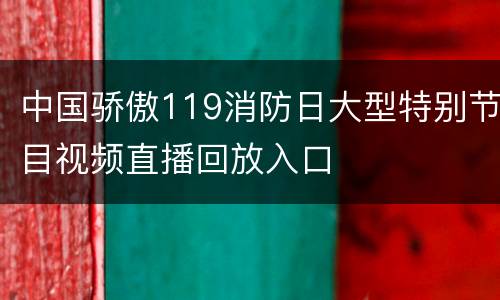 中国骄傲119消防日大型特别节目视频直播回放入口