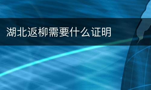 湖北返柳需要什么证明