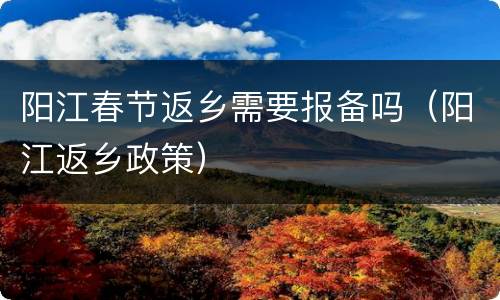 阳江春节返乡需要报备吗（阳江返乡政策）