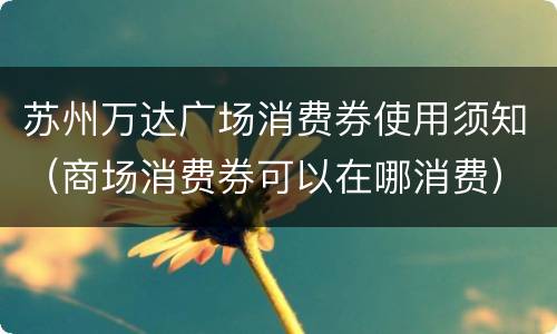 苏州万达广场消费券使用须知（商场消费券可以在哪消费）