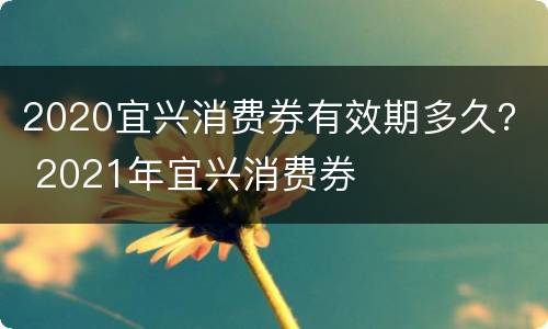 2020宜兴消费券有效期多久？ 2021年宜兴消费券