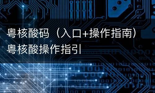 粤核酸码（入口+操作指南） 粤核酸操作指引