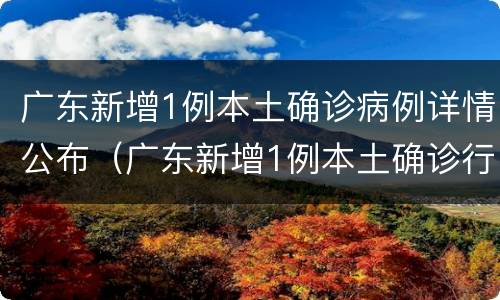 广东新增1例本土确诊病例详情公布（广东新增1例本土确诊行动轨迹）