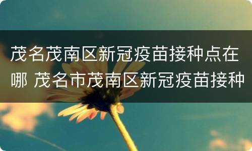 茂名茂南区新冠疫苗接种点在哪 茂名市茂南区新冠疫苗接种点