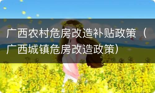 广西农村危房改造补贴政策（广西城镇危房改造政策）