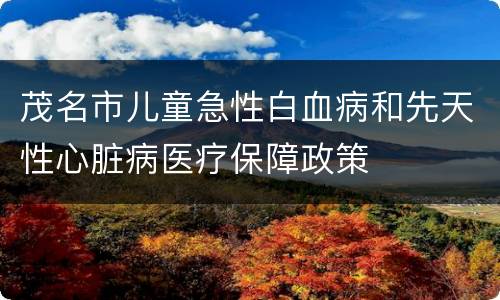 茂名市儿童急性白血病和先天性心脏病医疗保障政策