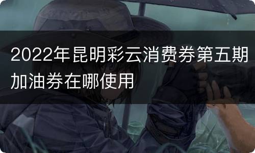 2022年昆明彩云消费券第五期加油券在哪使用