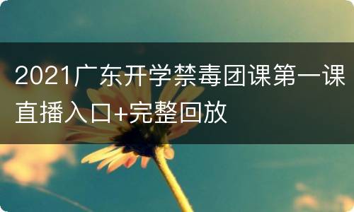 2021广东开学禁毒团课第一课直播入口+完整回放