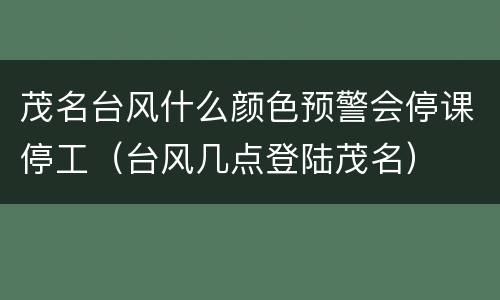 茂名台风什么颜色预警会停课停工（台风几点登陆茂名）