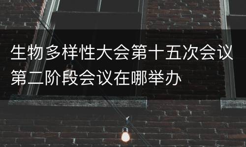 生物多样性大会第十五次会议第二阶段会议在哪举办