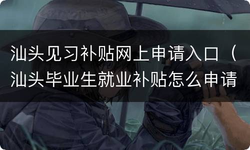 汕头见习补贴网上申请入口（汕头毕业生就业补贴怎么申请）