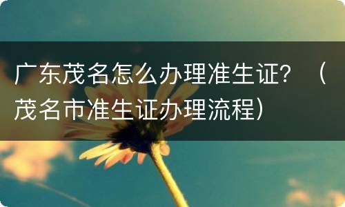 广东茂名怎么办理准生证？（茂名市准生证办理流程）