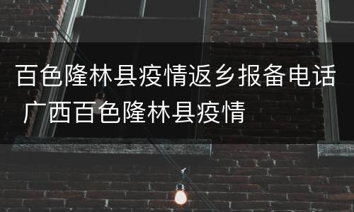 百色隆林县疫情返乡报备电话 广西百色隆林县疫情