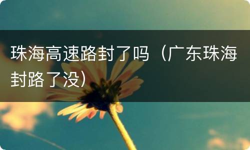 珠海高速路封了吗（广东珠海封路了没）