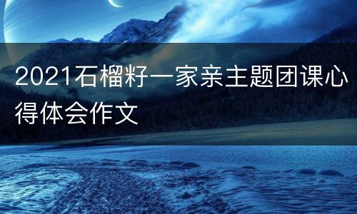2021石榴籽一家亲主题团课心得体会作文