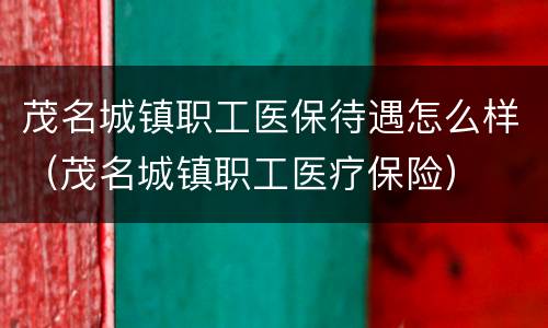 茂名城镇职工医保待遇怎么样（茂名城镇职工医疗保险）