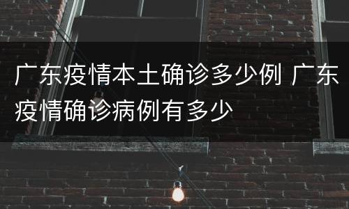 广东疫情本土确诊多少例 广东疫情确诊病例有多少