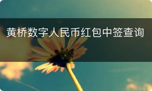 黄桥数字人民币红包中签查询