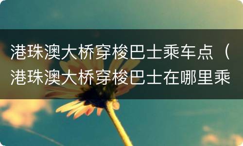 港珠澳大桥穿梭巴士乘车点（港珠澳大桥穿梭巴士在哪里乘坐）