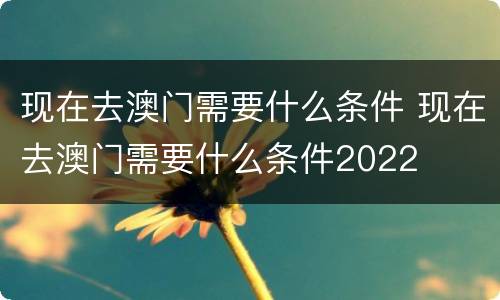 现在去澳门需要什么条件 现在去澳门需要什么条件2022