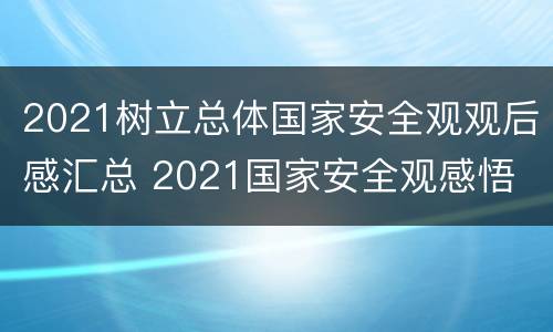 2021树立总体国家安全观观后感汇总 2021国家安全观感悟