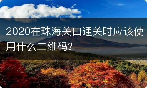 2020在珠海关口通关时应该使用什么二维码？