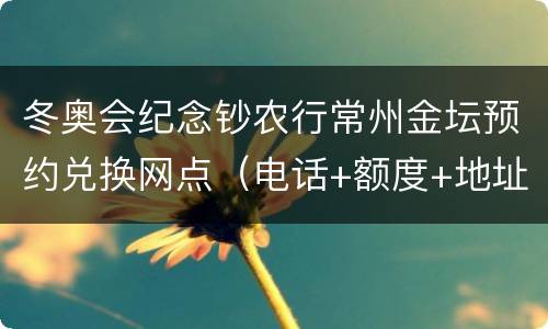 冬奥会纪念钞农行常州金坛预约兑换网点（电话+额度+地址）