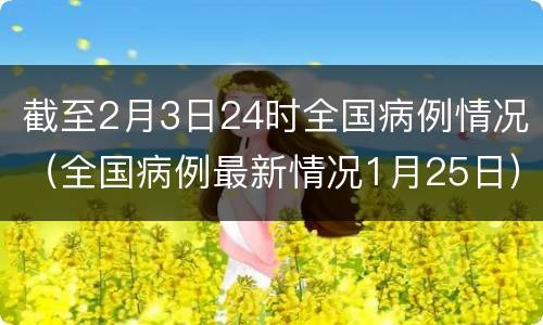 截至2月3日24时全国病例情况（全国病例最新情况1月25日）