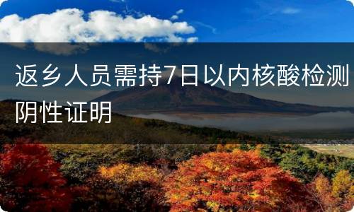 返乡人员需持7日以内核酸检测阴性证明