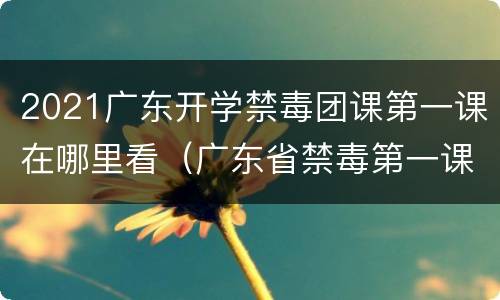 2021广东开学禁毒团课第一课在哪里看（广东省禁毒第一课）
